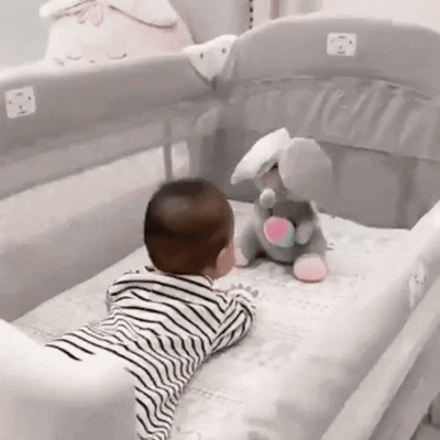 Peek Boo Bear video 4.gif