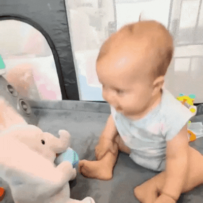 Peek Boo Bear video 3.gif