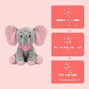 Peek Boo Bear 5.webp