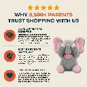 Peek Boo Bear 4.webp