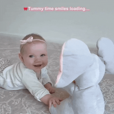 Peek Boo Bear video 2.gif